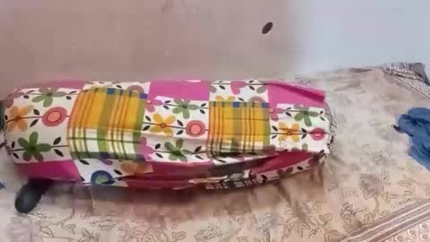 poulomi online show from September 11, 4:58 am