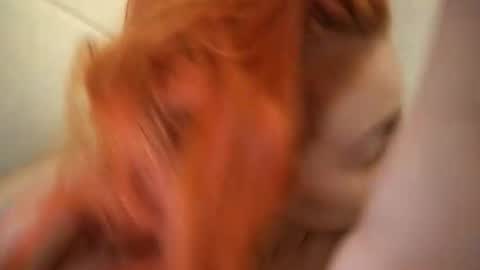 ppiu9 online show from November 12, 2:47 am