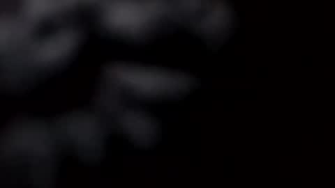 pretty_boy_jack online show from February 28, 10:52 am