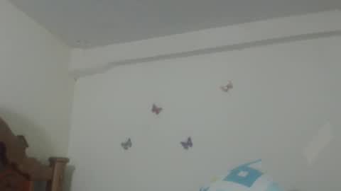 Rose online show from February 24, 6:49 am