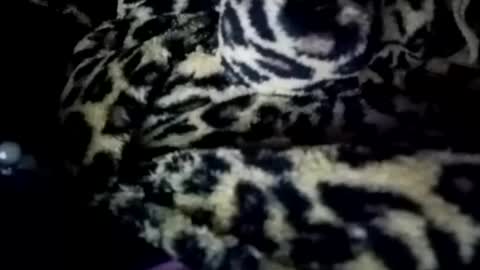 prettyma online show from January 21, 8:19 am