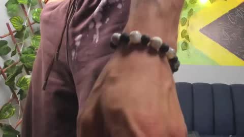 prince_arthur77 online show from November 6, 2:53 pm