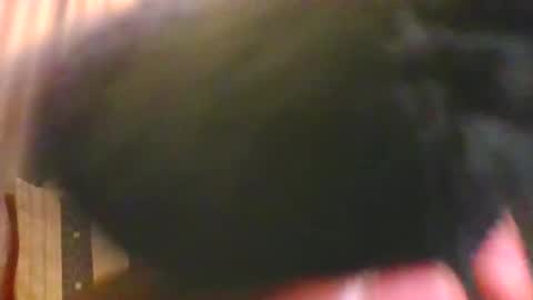 princess online show from November 2, 8:20 pm