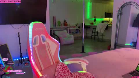Snapshot of princess_cece chatting on September 30, 2:00 am Cece NEXT LIVESTREAM -- DEC. 4th 7 PM CST online show from September 30, 2:00 am