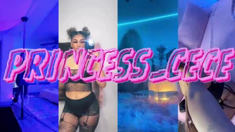 Snapshot of princess_cece chatting on January 12, 5:44 pm Cece NEXT LIVESTREAM -- DEC. 4th 7 PM CST online show from January 12, 5:44 pm