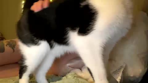 Sable online show from April 16, 3:39 am