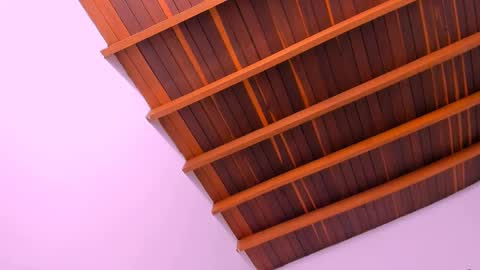 Mara online show from December 16, 8:52 am