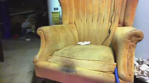 pspee313 online show from March 1, 1:21 am