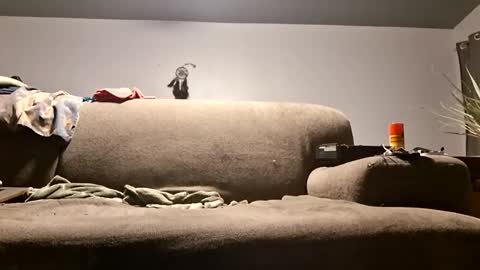 pussylicker517038 online show from April 20, 10:07 am