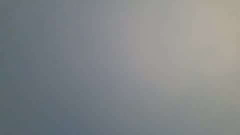 qbase online show from February 7, 8:44 am