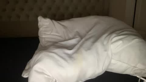 qlf0506 online show from November 12, 2:03 am