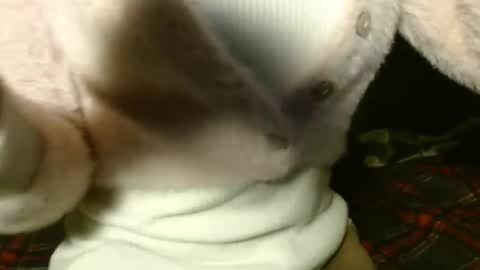 queenoftenderness online show from March 15, 9:51 pm