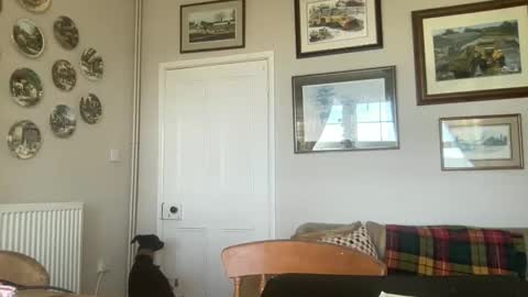 PrincessP333 online show from April 14, 8:17 am