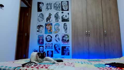 Rachel online show from October 21, 1:54 am