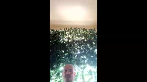 Bigthickdickinvic online show from March 2, 2:51 am