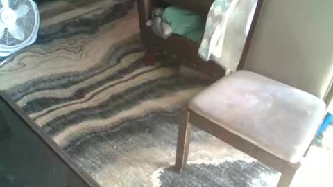 Randy8inbater online show from December 18, 6:58 pm