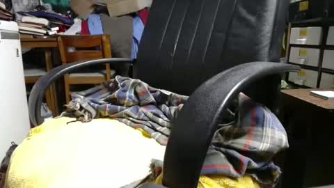 Ray online show from April 18, 12:29 pm