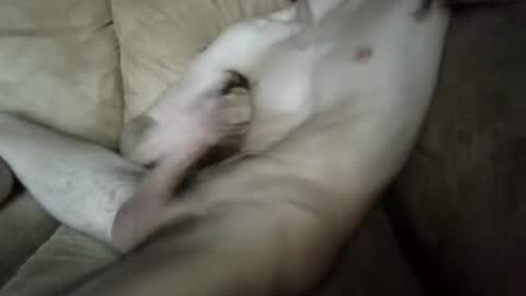 rayynex online show from September 17, 3:59 pm