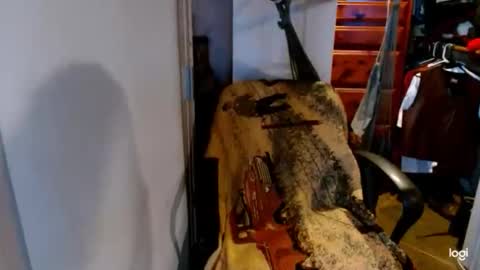 ready4aride2day online show from March 22, 12:20 pm