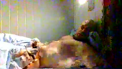 real_viking1 online show from January 9, 7:03 am