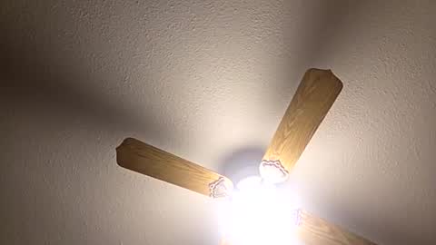 red24devils online show from December 3, 5:08 am