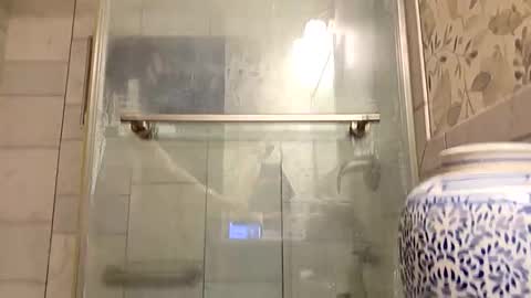 red24devils online show from November 17, 9:39 pm