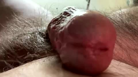 RhinoDickasaurus online show from September 27, 5:16 am