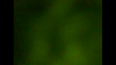 rianfox1234 online show from October 22, 7:33 am