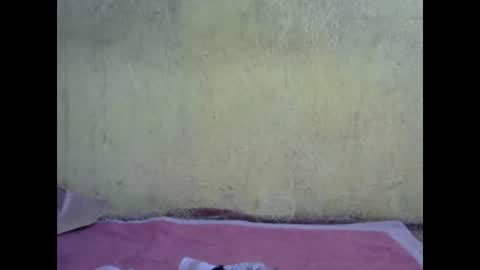 ricaa230122 online show from April 30, 9:58 am