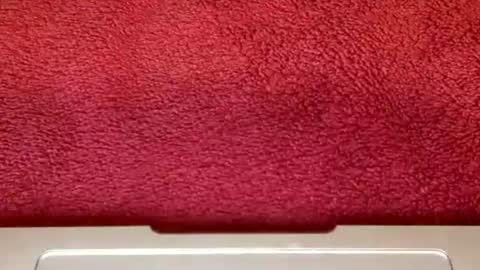 rimalova online show from October 25, 6:35 am