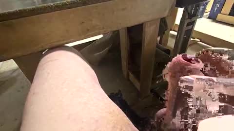 robbiebob6828 online show from March 6, 11:48 pm