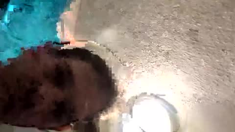 roberth646621935 online show from December 1, 5:27 am