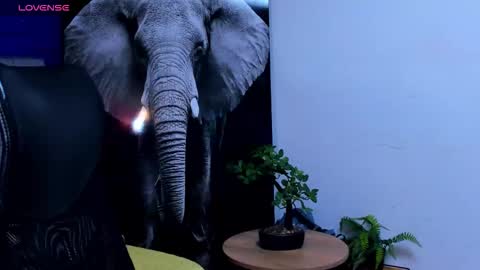 rocco_santos online show from October 13, 3:41 am