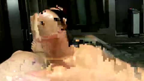 rockinhardd4u online show from March 18, 2:50 am