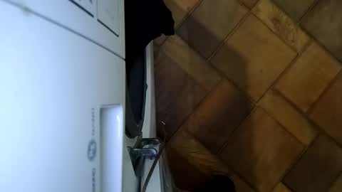 Snapshot of romahka999 chatting on October 25, 3:07 am Roma online show from October 25, 3:07 am