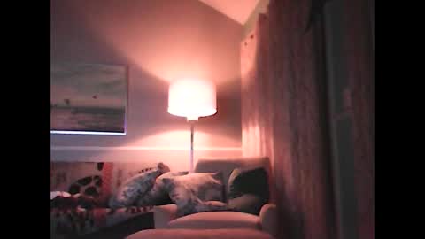 ronvlv online show from November 15, 3:19 am