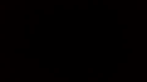 Rose online show from November 24, 10:25 am