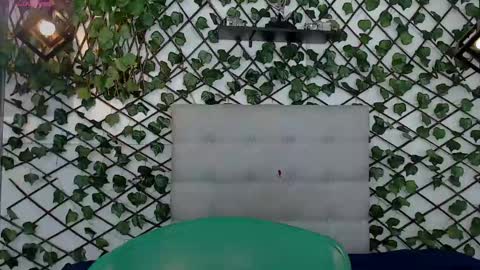 Rous online show from February 8, 9:35 am