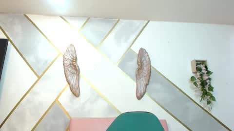   online show from November 20, 8:06 pm