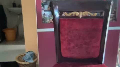 rsex2007 online show from November 11, 7:43 am