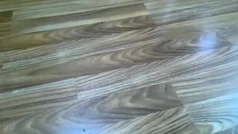 rubusdown online show from September 30, 4:17 pm