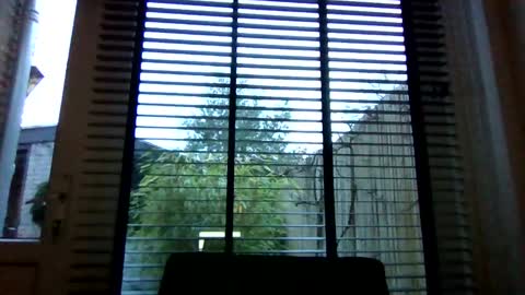 rudeski online show from November 23, 2:59 pm