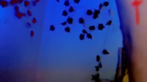 SABRI online show from March 11, 12:50 pm