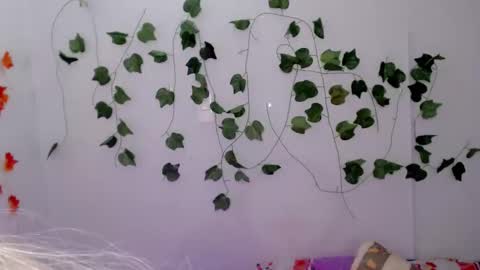 SABRI online show from January 26, 1:25 pm