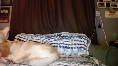 Sabrina online show from February 11, 10:47 am