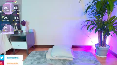 samu online show from February 1, 11:07 am