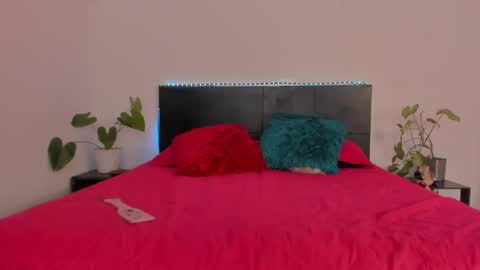 Girl next door online show from January 21, 9:25 pm