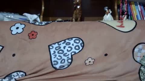 Snapshot of sarraella chatting on February 6, 4:47 pm Sarra online show from February 6, 4:47 pm
