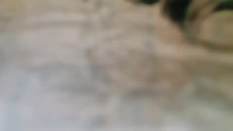savvvmmm online show from October 21, 2:38 am