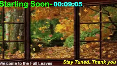 ...PHIL... online show from November 3, 1:06 am